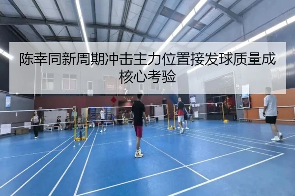陈幸同新周期冲击主力位置接发球质量成核心考验